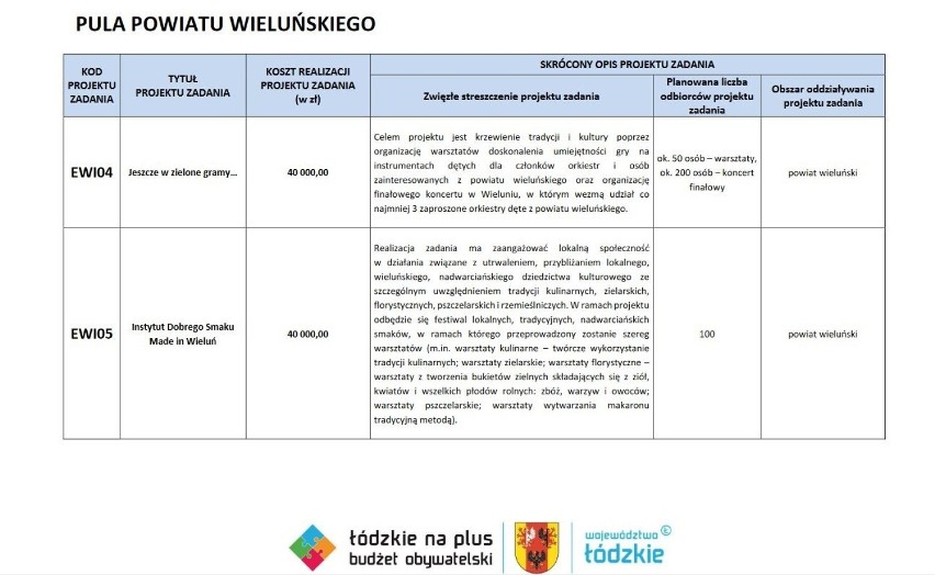 Budżet Obywatelski „Łódzkie na plus”. Głosowanie do 30 czerwca. W powiecie wieluńskim zgłoszonych zostało siedem inicjatyw 