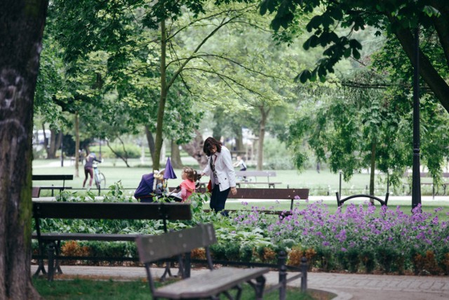 Park Kochanowskiego. Odnowiony kosztem 4,5 milionów złotych oddano do użytku 13 sierpnia 2015 roku