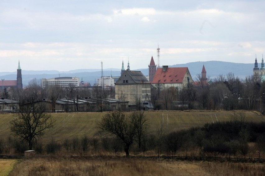 Panorama Legnicy z górki w lasku przy ulicy Polkowickiej [ZDJĘCIA]