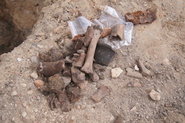 Prace archeologiczne na ul. Remonta w Radomsku. Archeolodzy wykopują ceramikę, kości...