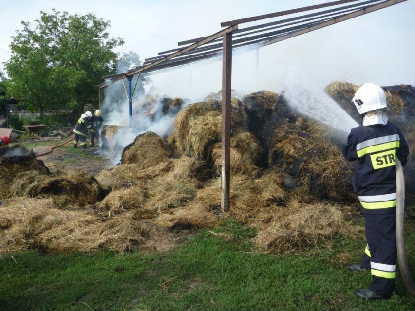 Pożar w Murowanej Goślinie: Paliło się siano przy hodowli danieli [ZDJĘCIA]