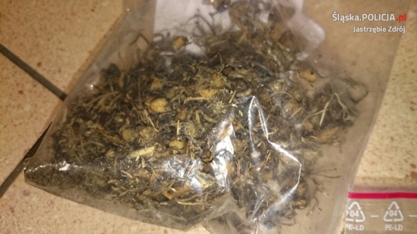 Narkotyki w Jastrzębiu: 27-latek z marihuaną i grzybkami