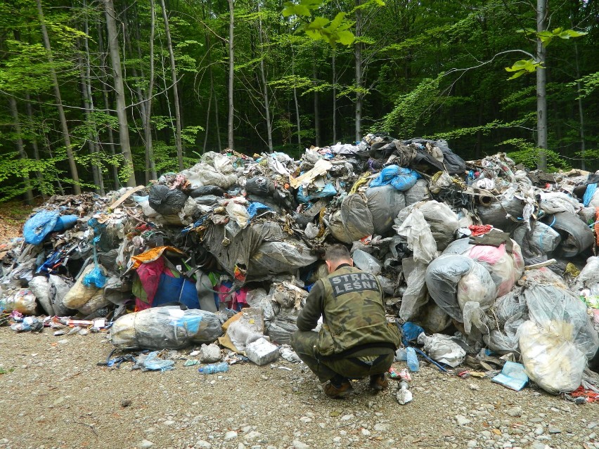 Odpadki wyrzuocone zostały w dąbrowskim lesie
