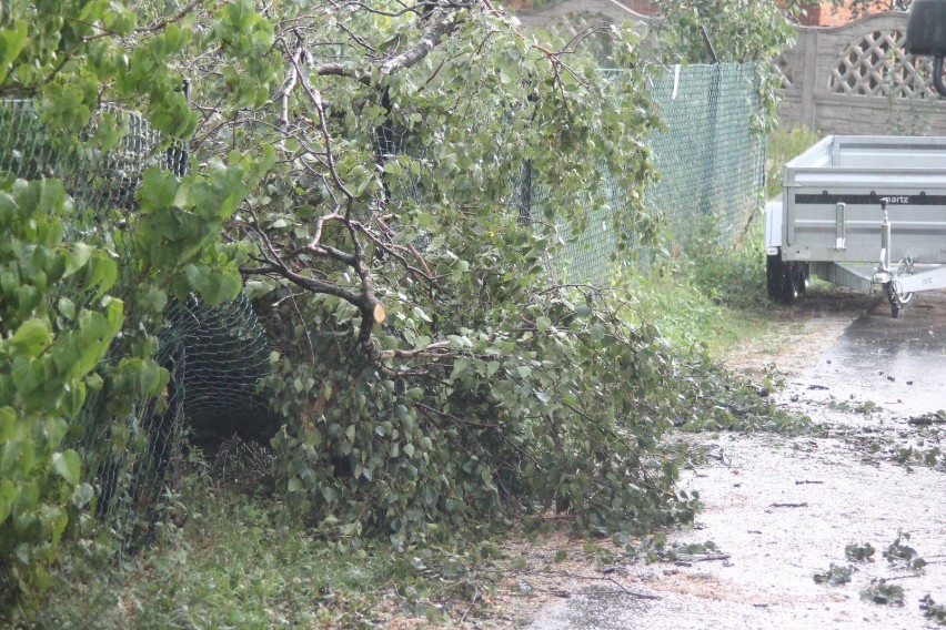 Strażacy interweniowali po nawałnicy, która przeszła nad powiatem [ZDJĘCIA]                       