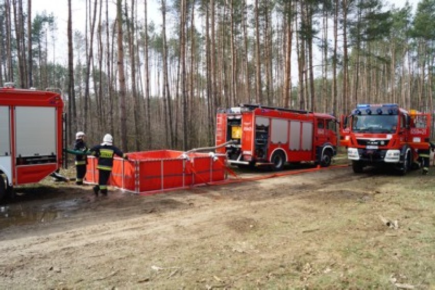 Strażackie ćwiczenia na wypadek pożaru lasu  