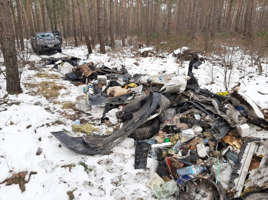 Nadleśnictwo Gniezno odkryło odpady samochodowe w lesie