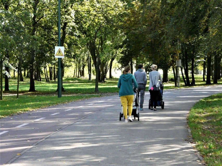 Tak jesienią wygląda Lewityn w Pabianicach ZDJĘCIA