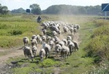 Klimat lubuskiej wsi. Zobacz wyjątkowe zdjęcia