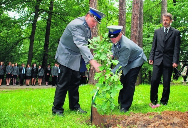 Dąb Pamięci zamordowanego w Katyniu Michała Kanika posadzili gorliccy policjanci