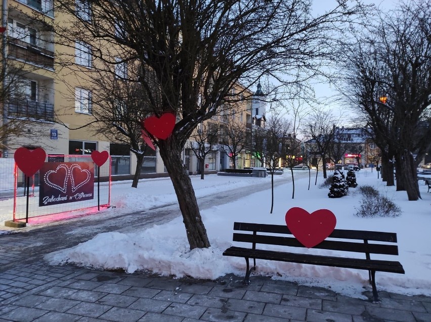 "Zakochani w Ostrowcu"- miejski Rynek wystrojony na Walentynki (ZDJĘCIA)