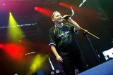 Koncert Kraków: Punky Reggae Live 2011. Farben Lehre stuknęło 25 lat
