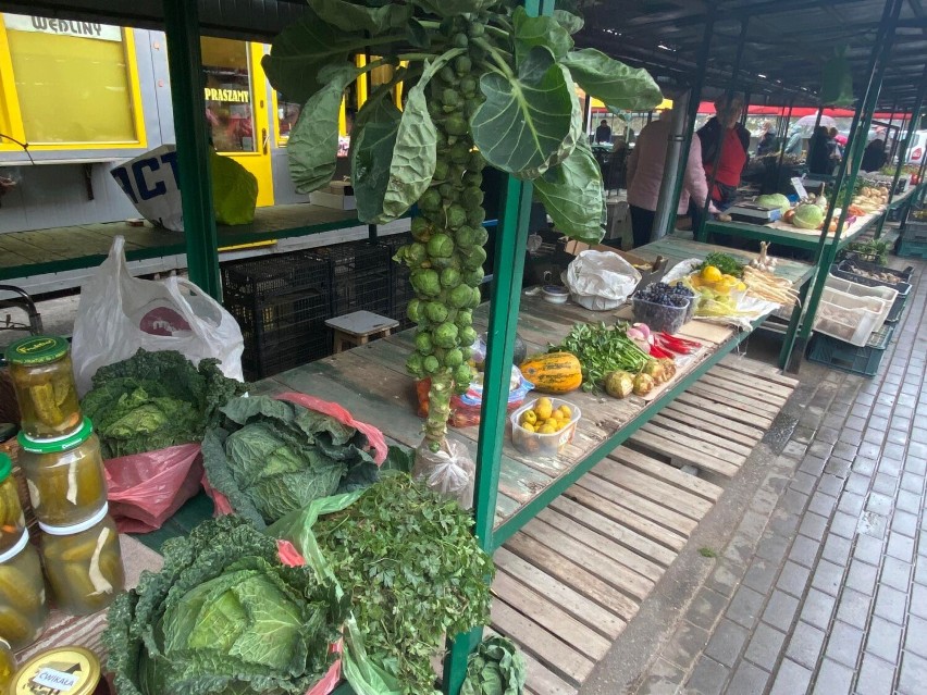 Co można kupić na placu handlowym przy ul. Targowej w Rzeszowie? Ubrania, owoce, warzywa, kwiaty i miody