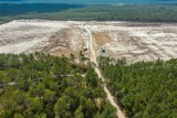 Ekolodzy o wycince lasu pod elektrownię jądrową: Lekceważenie dobrych praktyk 