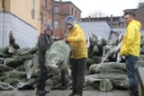 We wtorek 13 grudnia będą rozdawać choinki na Rynku w Kielcach. Nie zabraknie też innych atrakcji przygotowanych przez RMF FM