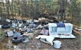Dzikie wysypiska śmieci w olkuskich lasach. To zjawisko wciąż jest dość powszechne. Nadleśnictwo Olkusz próbuje z tym walczyć 