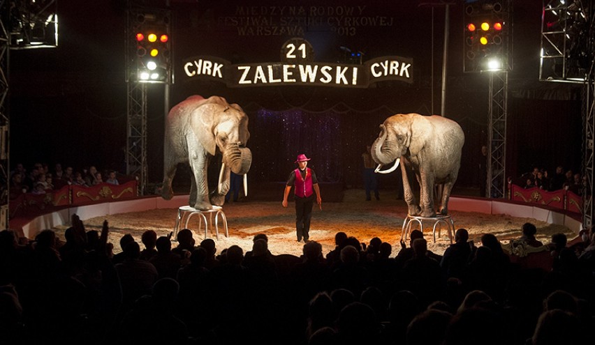 XIV Międzynarodowy Festiwal Sztuki Cyrkowej w Warszawie - Cyrk Zalewski