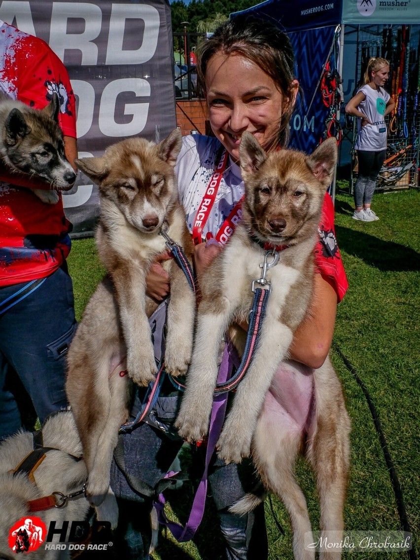 hard Dog Race Base 2021 w ośrodku Wawrzkowizna koło...