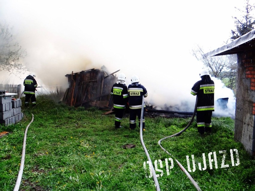 Pożar w Kolonii Olszowa: Strażacy walczyli z pożarem komórki