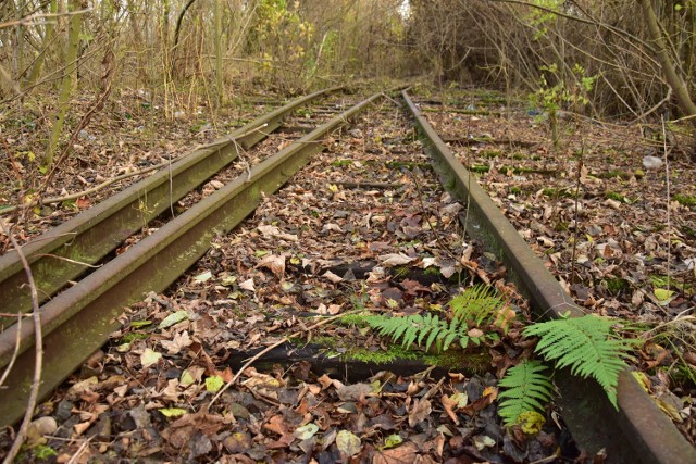 Tory kolejowe w Żninie, a w zasadzie pozostałości po linii biegnącej w kierunku Bydgoszczy oraz dworzec PKP Żnin.