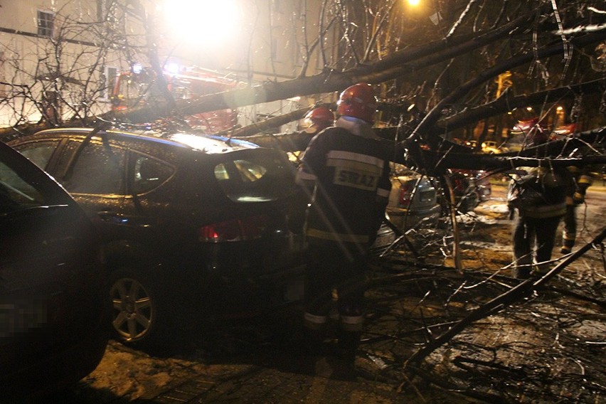 Bielsko-Biała: drzewo zniszczyło aż cztery samochody [ZDJĘCIA]