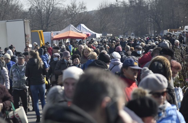 W czwartek 17 marca na targowisku Korej w Radomiu panował bardzo duży ruch. Klienci najchętniej kupowali świeże warzywa i owoce. Dużym zainteresowaniem cieszyły się również wielkanocne palmy, oraz pojawiające się już wiosenne rośliny.  Dużym zainteresowaniem cieszyły się pierwsze kwiaty i sadzonki roślin które pojawiły się na targu.  

Zobaczcie na kolejnych slajdach co działo się w czwartek 17 marca na targowisku Korej w Radomiu