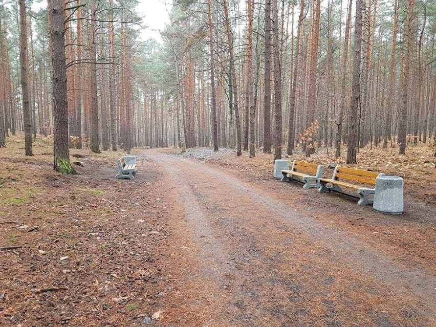 Zielona Góra. W Lesie Piastowskim powstała strefa chilloutu....