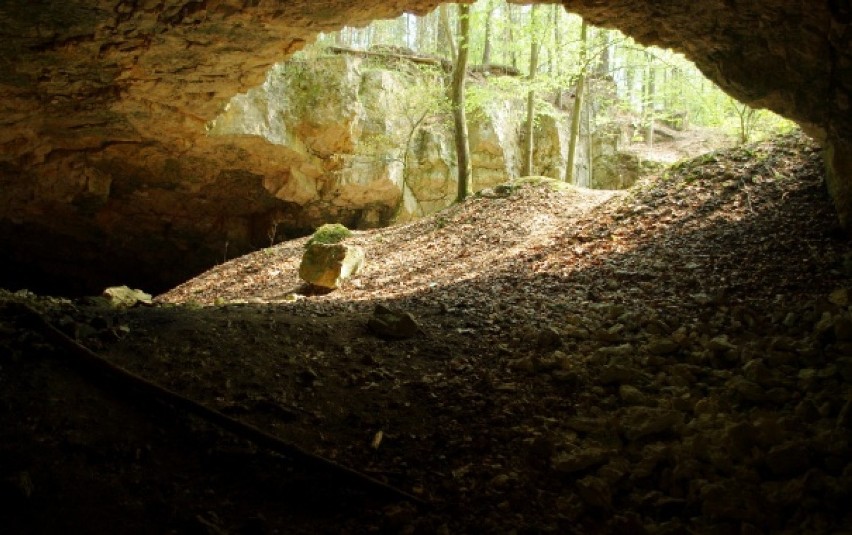 Rezerwat geologiczny "Szachownica", położony jest w...