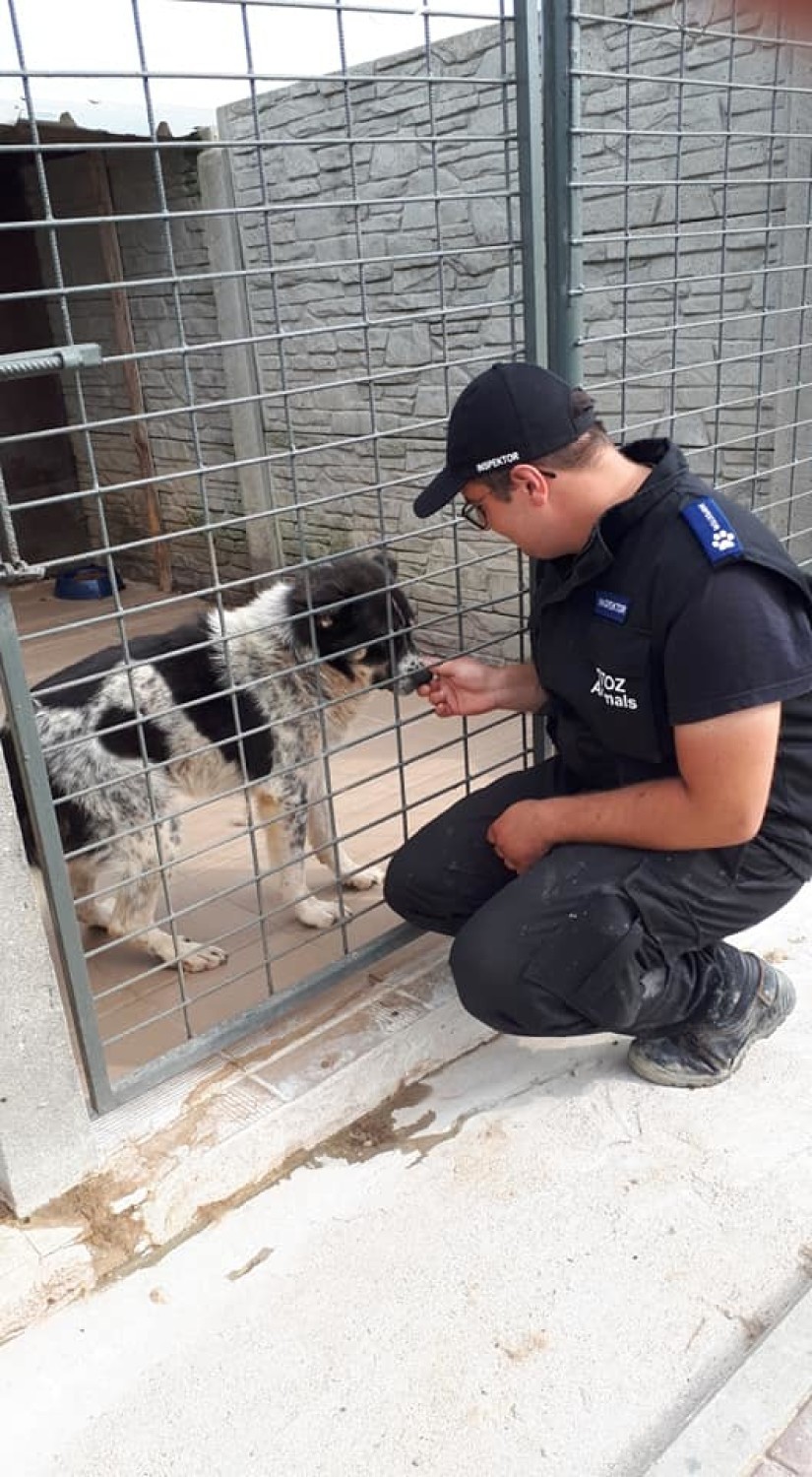 W piątek inspektorzy OTOZ Animals pojechali do Radys po...