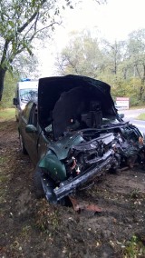 Wypadek na Strykowskiej w Łodzi. Samochód wypadł z drogi i uderzył w drzewo [ZDJĘCIA]