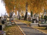 Nowe stawki na cmentarzach komunalnych