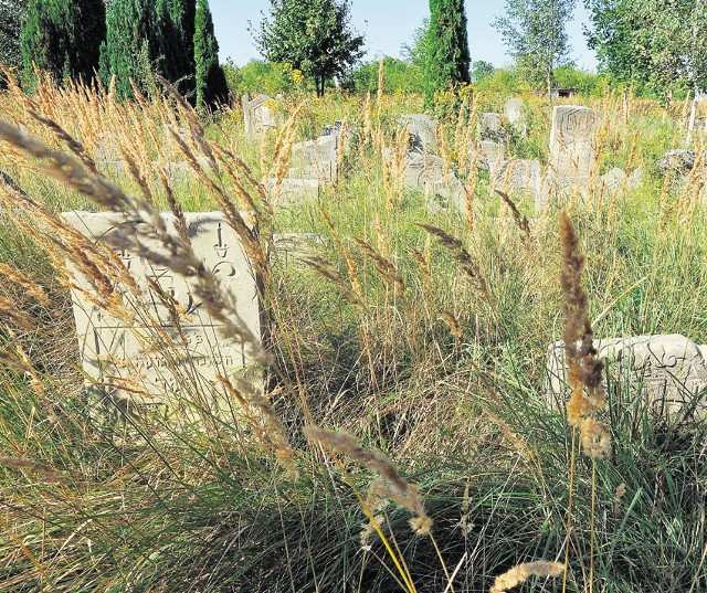 Każdy umywa ręce, a na kirkucie przy ulicy Granicznej trawa rośnie jak oszalała