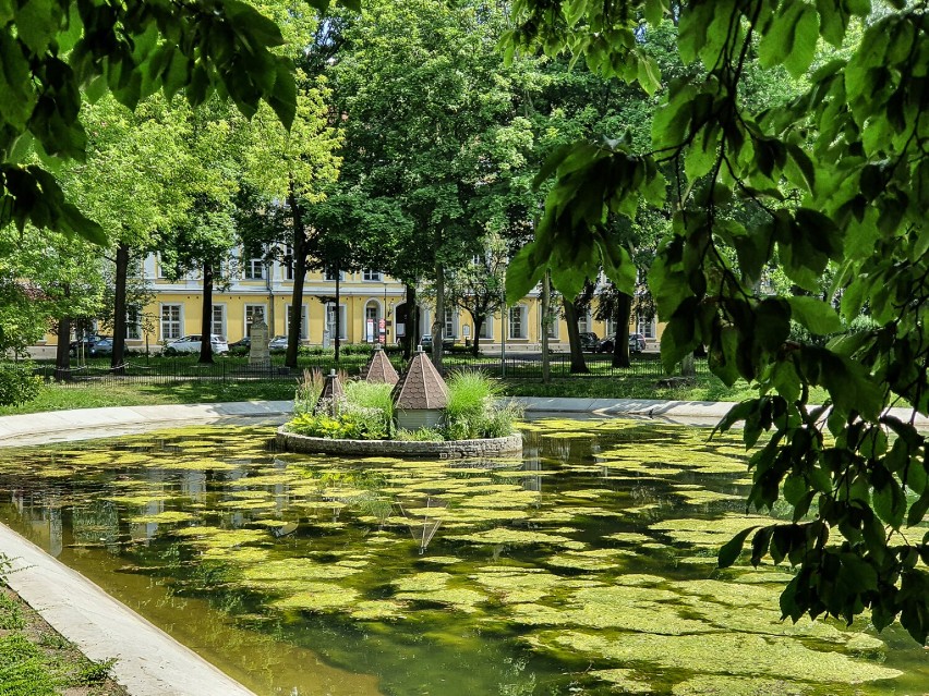 Park przy placu Kościuszki w Lesznie, lipiec 2021