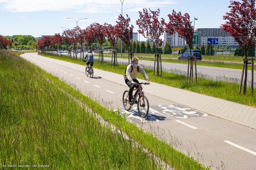 "Miasto z klimatem – najlepszy zrealizowany projekt". Białystok na pierwszym miejscu za Stawy Marczukowskie i rozwój komunikacji rowerowej