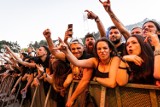 Festiwale muzyczne 2022 biją rekordy popularności. Co jeszcze przed nami tego lata?