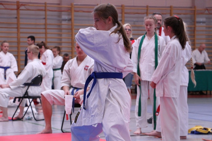 Mistrzostwa Młodzików w Karate Fudokan w Złotowie