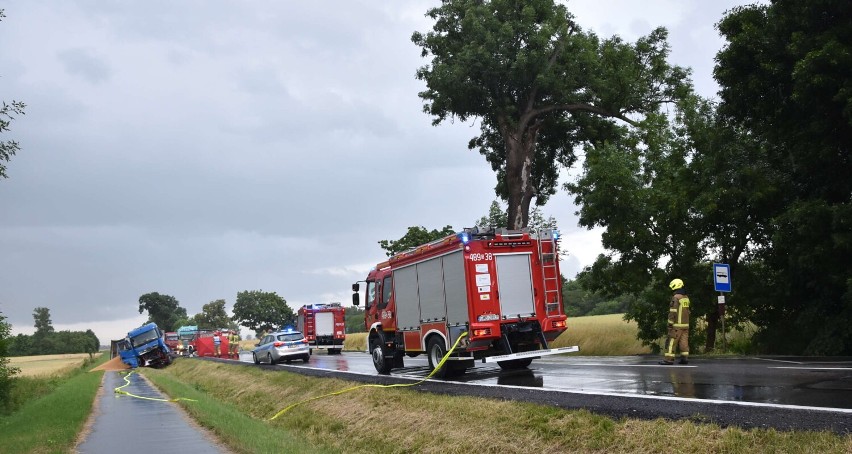 Gm. Malbork. Śmiertelny wypadek na drodze krajowej nr 55. Kierowca samochodu osobowego zginął na miejscu 