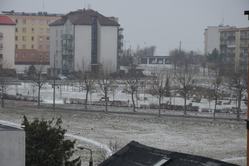 W Wieluniu wietrznie, spadł też śnieg. Jaka pogoda czeka nas w najbliższe dni