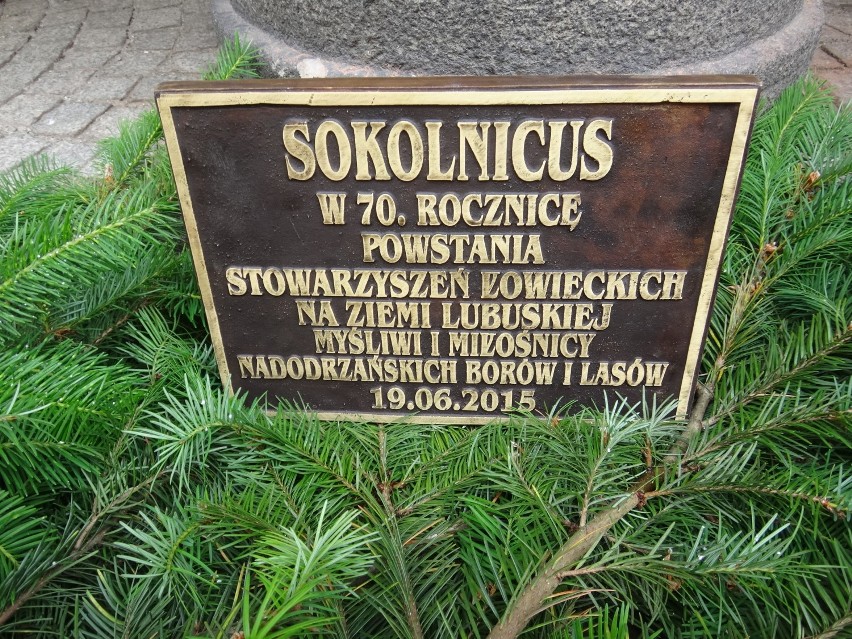 Sokolnicus - nowy bachusik w naszym mieście [zdjęcia]