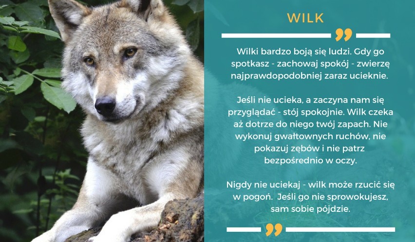 WILK