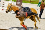 Miłośnicy koni spotkali się w Mierzęcinie. Są zawody i akrobacje. Ale emocje!