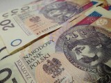PUP w Oleśnicy ogłasza nabór na dofinansowanie przedsiębiorstw