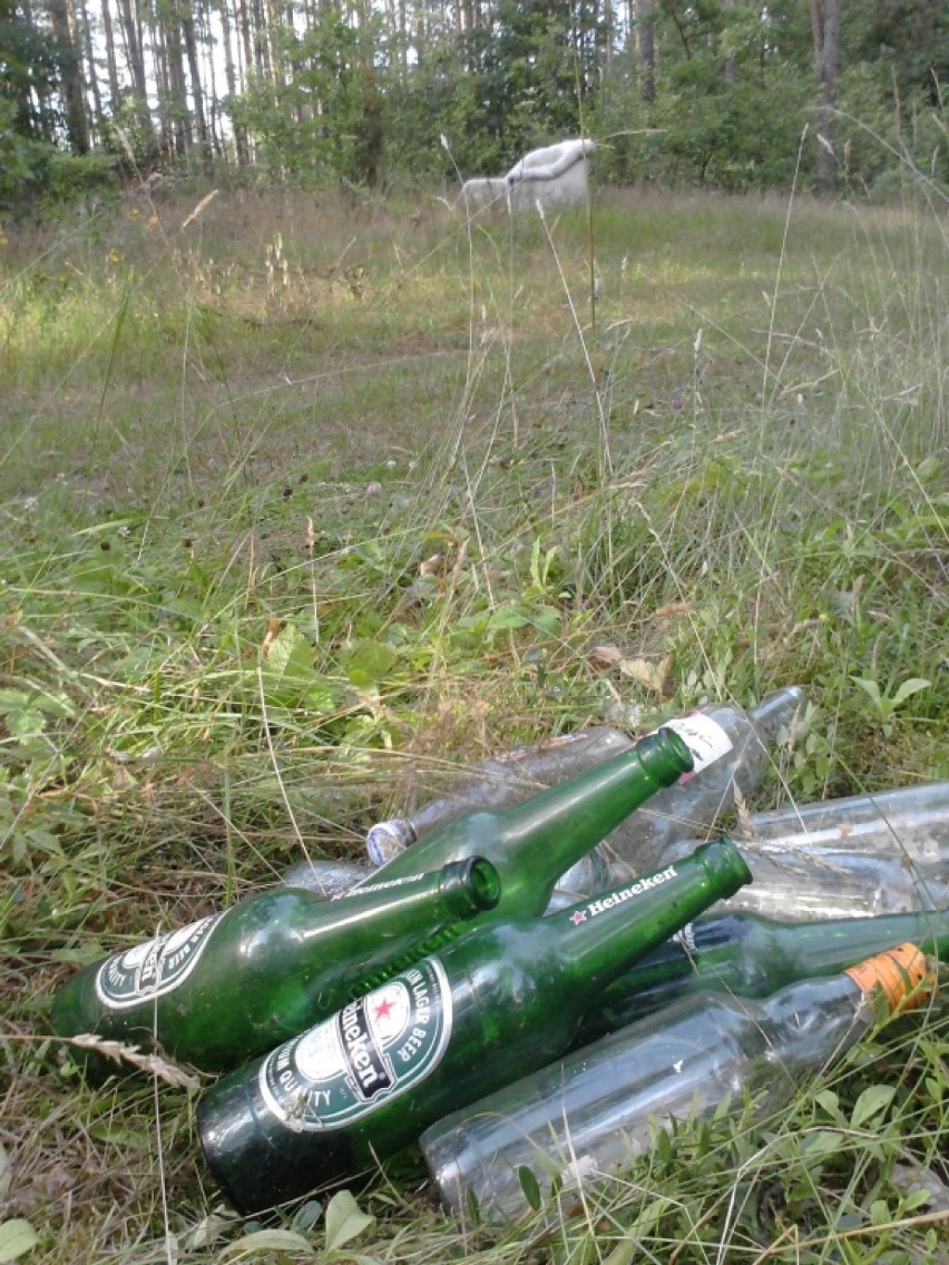 Szklane butelki w lesie to duże zagrożenie