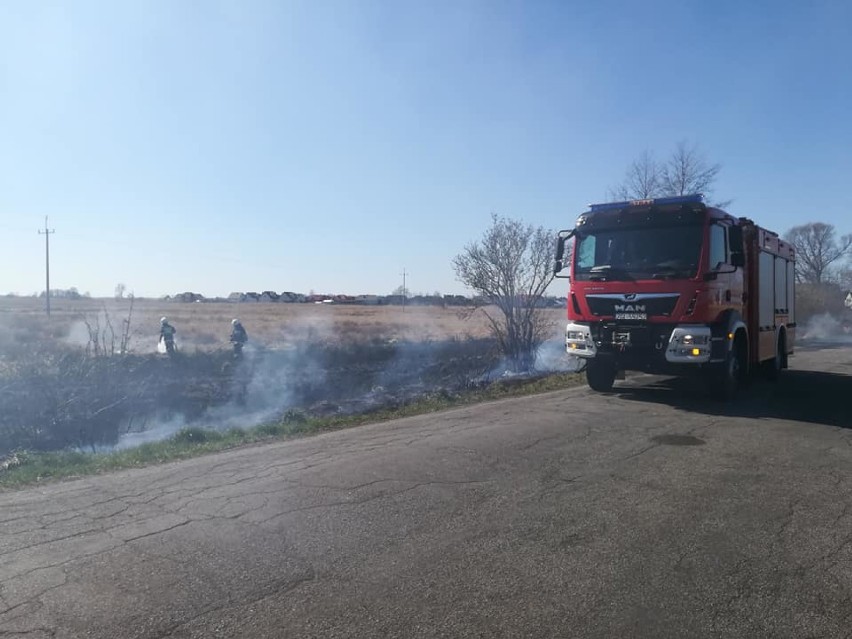 Znów płonęły trawy. Pogoda sprzyja takim pożarom