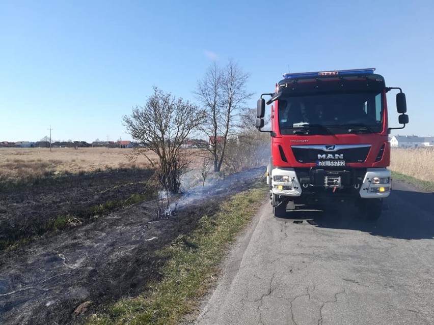 Znów płonęły trawy. Pogoda sprzyja takim pożarom