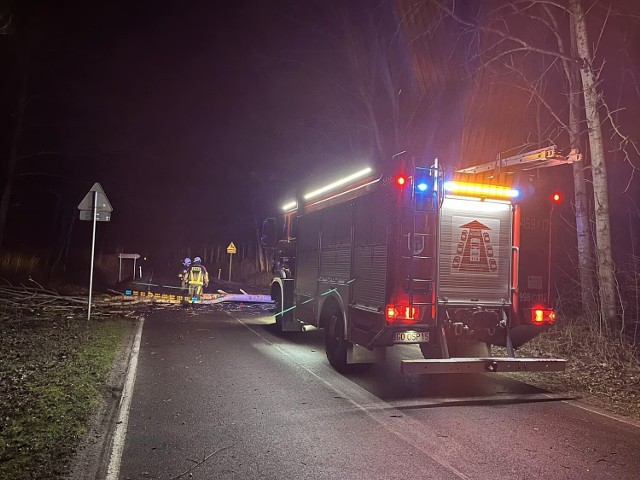 Strażacy z OSP Sadlinki usuwali drzewo blokujące przejazd drogą wojewódzką nr 532 w Karpinach