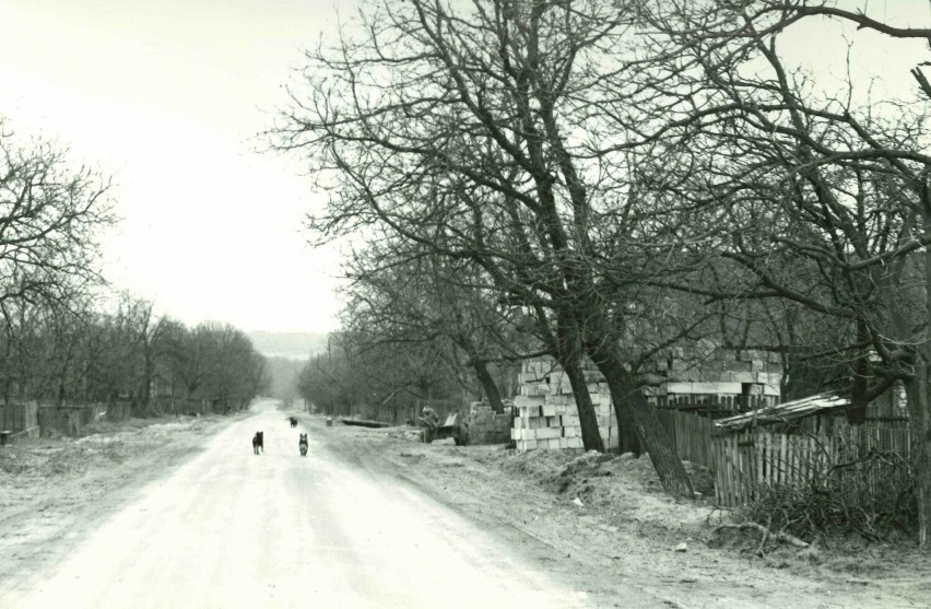 Miłoszówka, północna część wsi, fot. k. Pilaszewska, 1985 r.