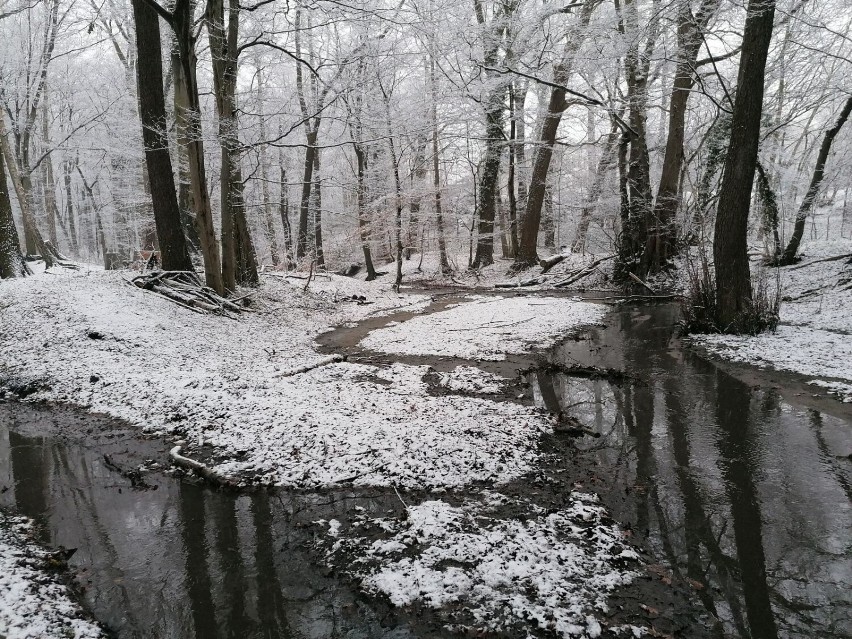 Park Poetów w zimowej, marcowej krasie wygląda bajkowo....