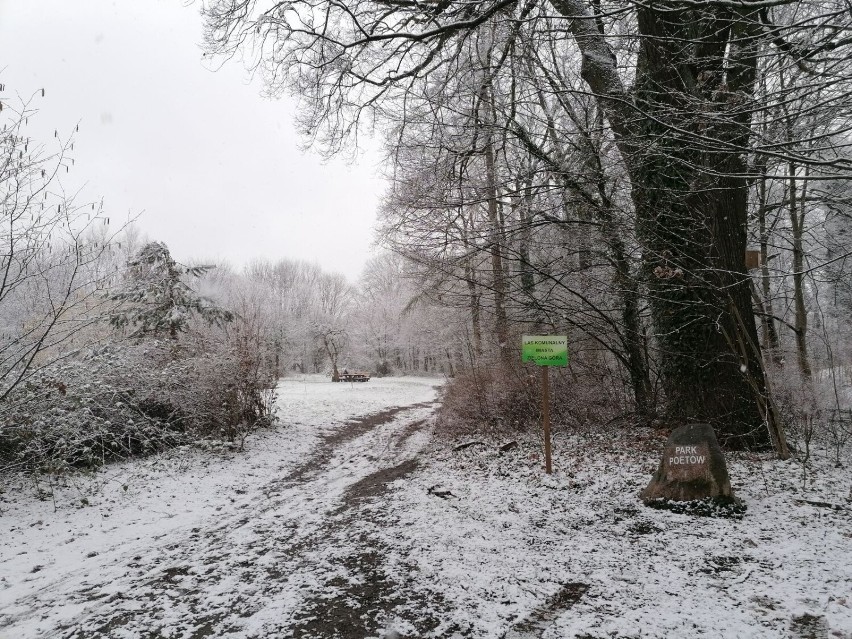 Park Poetów w zimowej, marcowej krasie wygląda bajkowo....