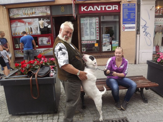 pieski lubią mnie