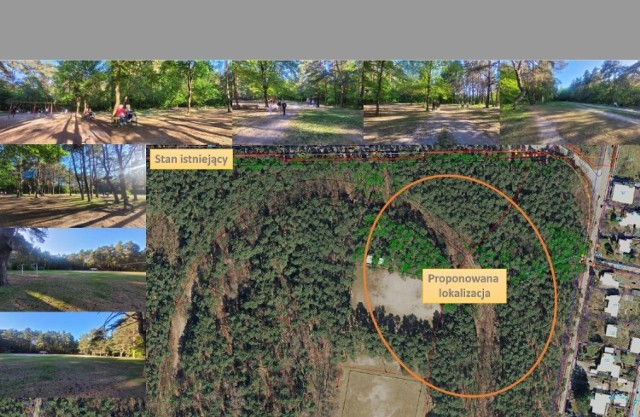 Zobacz jak wygląda teren w Lesie Komunalnym i jakie zmiany proponują autorzy projektu.